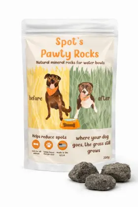Spots Pawty Rocks 199284247604 Spot S Naturally Occuring Size May Vary Pink And Black Basalt